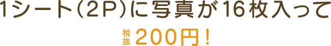 1シート（2P）に写真が16枚入って税抜200円！